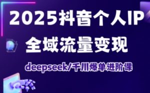 抖音个人IP全域流量变现进阶课，deepseek千川爆单进阶课(更新2026年05月)-琴书聊项目