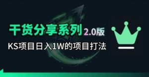 KS项目2.0期-拆本周结1W项目思路，几张图撬动流量群体，真的生猛-琴书聊项目