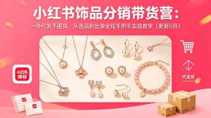 小红书饰品分销带货营：一件代发不囤货，从选品到出单全程手把手实战教学(更新5月-琴书聊项目