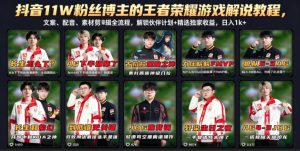 抖音11W粉丝博主的王者荣耀游戏解说教程，文案、配音、素材剪辑全流程，解锁伙伴计划+精选独家收益，日入1k+-琴书聊项目