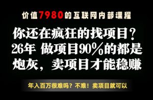 26年请不要疯狂的找项目了，卖项目远比你想象的暴利，你也可以月入10W+【揭秘】-琴书聊项目