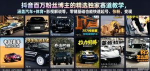 抖音百万粉丝博主的精选独家赛道教学，涵盖汽车+体育+影视解说等，零基础也能快速起号、涨粉、变现-琴书聊项目