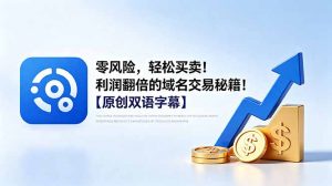 零风险,轻松买卖!利润翻倍的域名交易秘籍!【原创双语字幕】-琴书聊项目