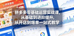 拼多多零基础运营实战课，从基础到进阶提升，从开店到爆单一站式教学-琴书聊项目