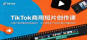 TikTok商用短片创作课：从客户需求策划至落地成片，AI工具高效产出符合海外流量的短片-琴书聊项目