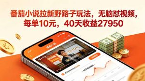番茄小说拉新野路子玩法，无脑怼视频，每单10元，40天收益27950-琴书聊项目