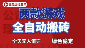 海外游戏全自动搬砖，日入1k+，全天无人值守，绿色稳定！【揭秘】-琴书聊项目