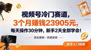 视频号冷门赛道，3个月变现23905元，新手2天学会 每天操作30分钟！-琴书聊项目