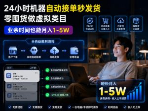 24小时机器自动接单秒发货,零囤货做虚拟类目,业余时间也能月入1-5W【揭秘】-琴书聊项目