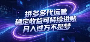 拼多多代运营，小白也能轻松月入过万，真实运营数据可查，全托管代运营-琴书聊项目