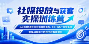 社媒投放与获客实操训练营，从0到1搭建外贸社媒营销体系，FB+INS广告全流程，掌握AI赋能下的B2B获客新增长-琴书聊项目