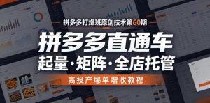 拼多多打爆班原创技术第60期,拼多多直通车,起量・矩阵・全店托管,高投产爆单增收教程-琴书聊项目