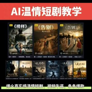 抖音58W粉丝博主的AI温情短剧玩法,条条爆款,伙伴计划+精选独家收益,商单收徒等(更新6月)-琴书聊项目