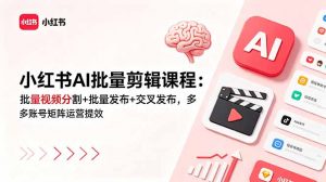 小红书AI批量剪辑课程：批量视频分割+批量发布+交叉发布，多账号矩阵运营提效-琴书聊项目