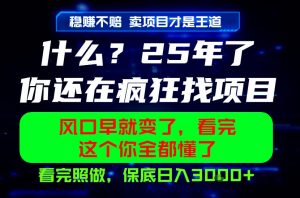 26年，请不要疯狂的找项目做了！卖项目才是真的稳賺不赔，看完照做，保底日入1k+【揭秘】-琴书聊项目
