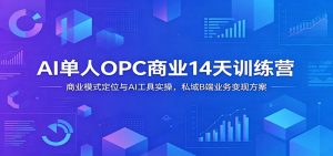 AI单人OPC商业14天训练营：商业模式定位与AI工具实操，私域B端业务变现方案-琴书聊项目