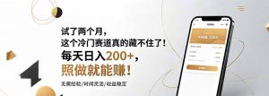 试了两个月，这个冷门赛道真的藏不住了！每天日入200+，照做就能赚！-琴书聊项目