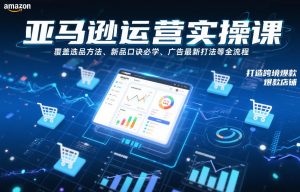 亚马逊运营实操课，覆盖选品方法、新品口诀必学、广告最新打法等全流程，打造跨境爆款店铺(更新6月)-琴书聊项目