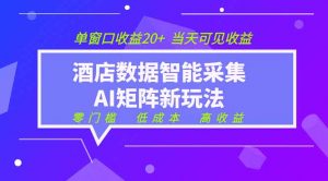 2026酒店数据采集ai智能矩阵新风口 低成本 高收益 当天见收益 单窗口20+-琴书聊项目