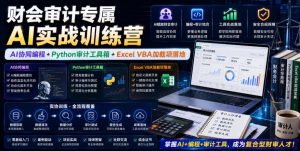 财会审计专属AI实战训练营｜AI协同编程+Python审计工具箱+Excel VBA加载项落地-琴书聊项目