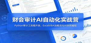 财会审计AI自动化实战营：Python审计工具箱开发，ExcelVBA加载项与AI协同编程-琴书聊项目
