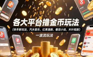 各大平台撸金币玩法(快手新玩法、汽水音乐、红果漫剧、番茄小说、木叶短剧)，一波流玩法(收费398元的教程)-琴书聊项目
