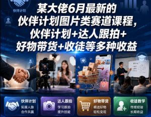 某大佬6月最新的伙伴计划图片类赛道课程，伙伴计划+达人跟拍+好物带货+收徒等多种收益-琴书聊项目
