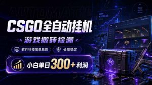 CSGO全自动挂机，游戏搬砖捡漏，软件科技简单易用，长期稳定，小白单日300+利润-琴书聊项目