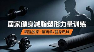 抖音健身热门短视频教学：居家健身减脂塑形力量训练，精选独家，接商单或者健身私域-琴书聊项目