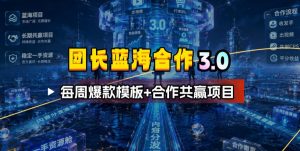 团长蓝海合作3.0，每周爆款模板+合作共赢项目-琴书聊项目