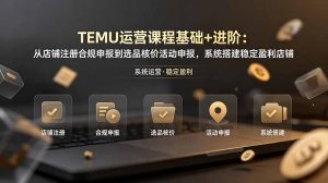 TEMU运营课程(基础+进阶-琴书聊项目