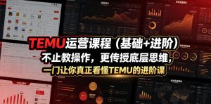 TEMU运营课程(基础+进阶)，不止教操作，更传授底层思维，一门让你真正看懂TEMU的进阶课-琴书聊项目
