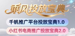 小红书千帆推广平台投放宝典，小红书电商推广投放宝典2.0-琴书聊项目