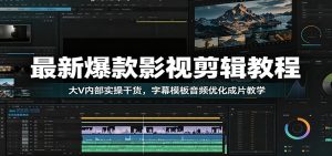 最新爆款影视剪辑教程：大V内部实操干货，字幕模板音频优化成片教学-琴书聊项目